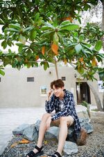 Summer Package 2016 (31)