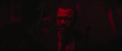 Redgordon
