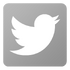 Twitter-Icon-inactive.png