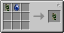 Middle Gem Circle Bone Shield