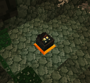 A Chiromaw Hatchling huddled in its egg