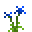 SmallBlueIris