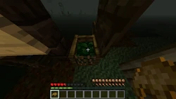 Collecting Compost from the bin