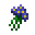 SmallBlueEyedGrassFlower