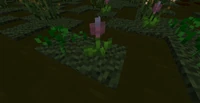 Pickerel Weeds ingame