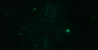 2016-01-27 22.11.01.png