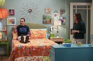 4. The Cohabitation Experimentation