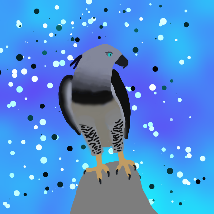 Harpy Eagles Majesty A Close Look At The National Bird Of Colombias Dominance - 26ozci4