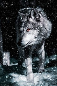 Gerwulf Pack | The Black Witch Chronicles Wiki | Fandom 