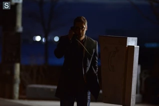 Tom Die Pavlovich Brüder