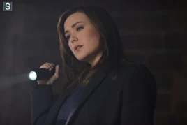 Die Pavlovich Brüder