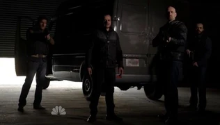 Die Pavlovich Brüder2