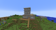 The Server