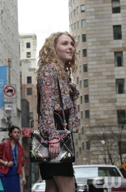 The Carrie Diaries Handbag  The carrie diaries, Carry on, Boxy bags