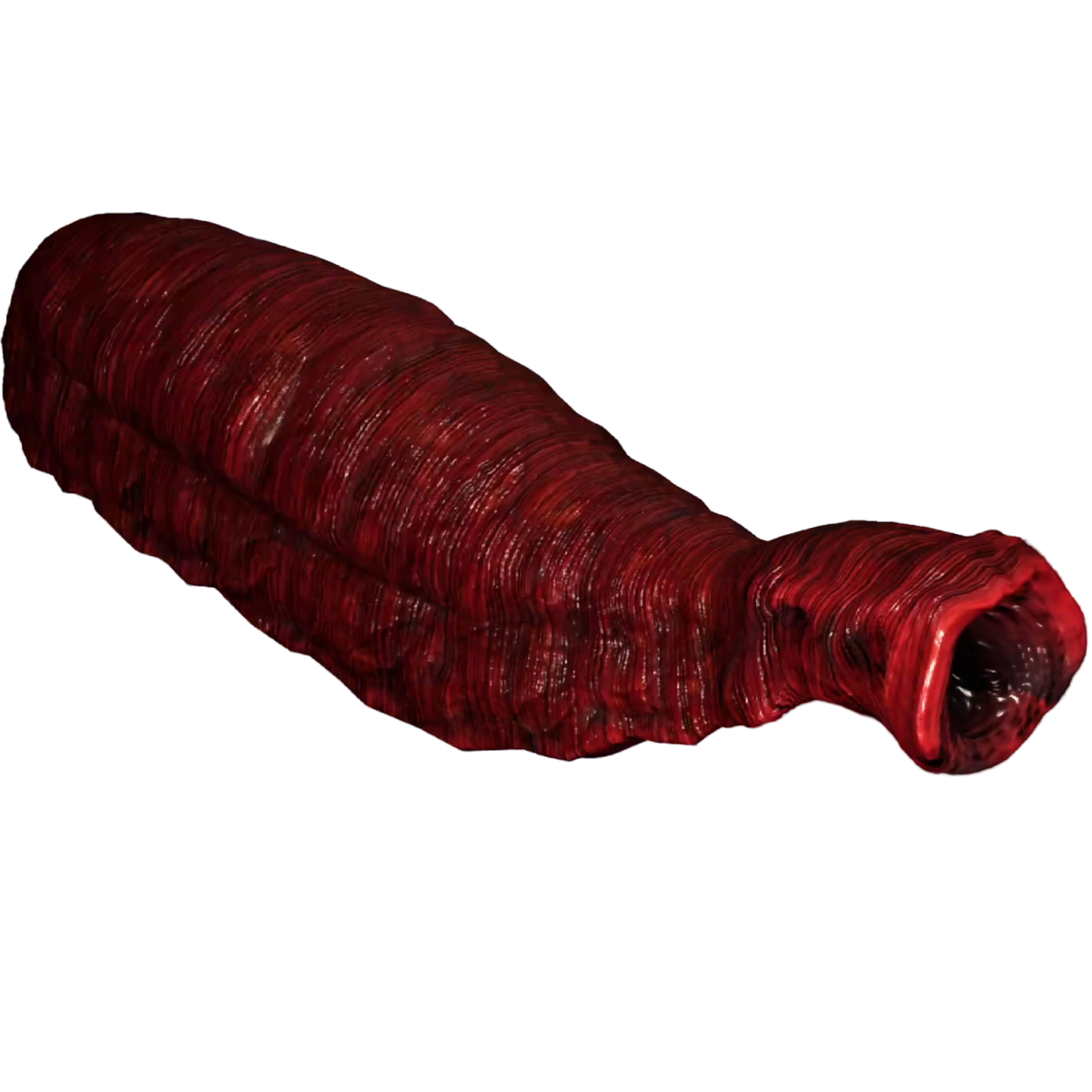 Leeches the classrooms unofficial wiki fandom