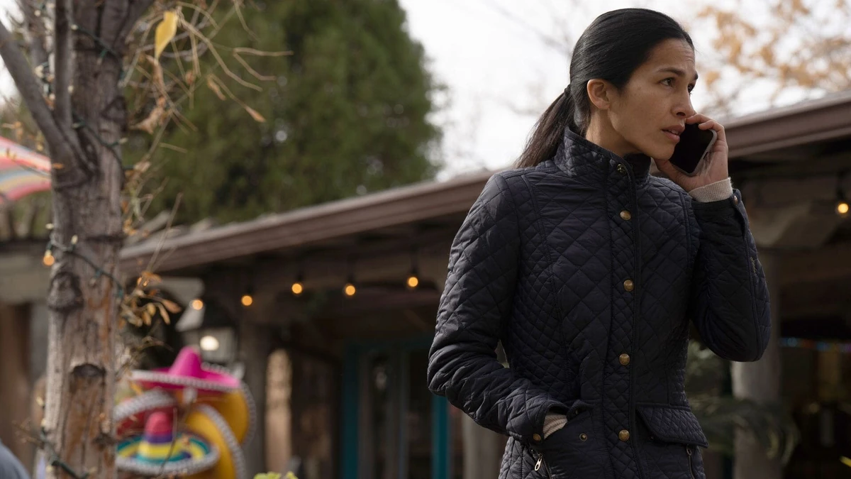 Coming Home Again The Cleaning Lady Wiki Fandom