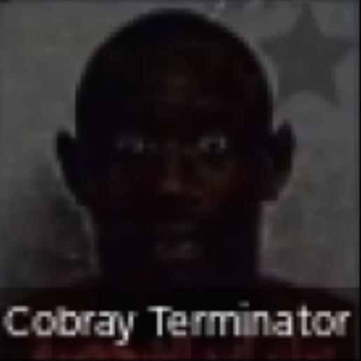 Cobray Terminator The Cool Zone Wiki Fandom