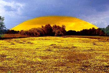 Bonum Meadow Shield2