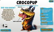 Crocopup
