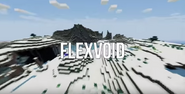 Intro: Flexvoid