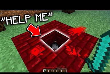The Strangest Minecraft video you will Ever watch! 