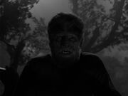 The Wolf Man (Lon Chaney Jr.)