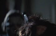H2garrettdeath3-1-