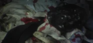 Eddie Mills' Death