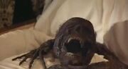 Carl Johnson Corpse