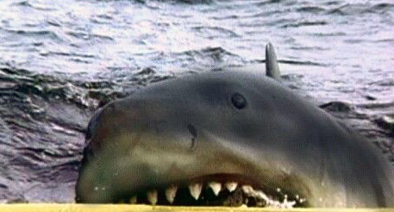 jaws 2 shark