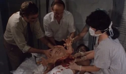 Belial and Duane's operation.