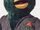 Duck (DHMIS)