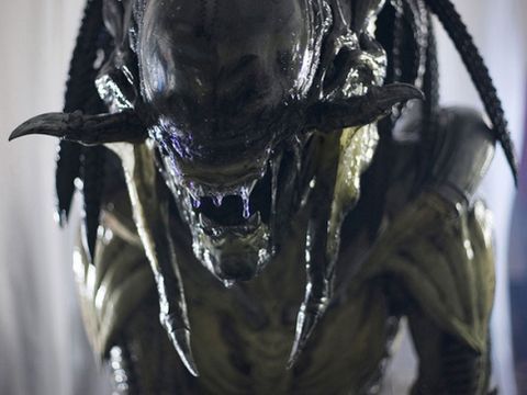 Alien Vs. Predator 2: Requiem