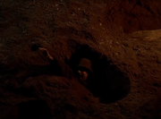 Stony Death