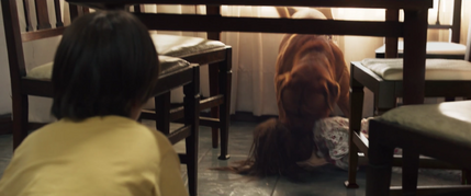 Vicky dog attack
