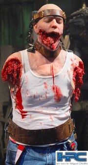 Dan's Corpse