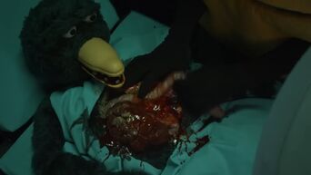 Duck Death