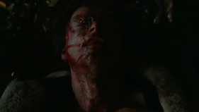 Steve% 27s death
