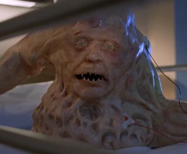 Basket Case 2