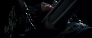 Brett's death