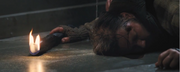 Peder Death