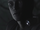 Joseph Frost
