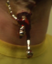 Trophy hanging out of Christian's mouth