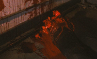 Dr Harold Needleman Dead