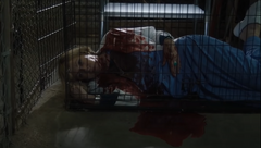 Brooks corpse