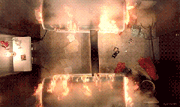 Anigif original-grid-image-1542-1426552929-15