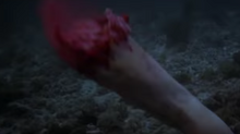 Estuary Leg