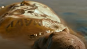 Dimitri's Corpse