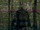 The Glitch