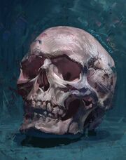 Skull